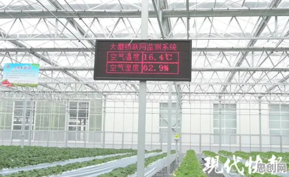 从人工智能原理角度看农业物联网建设，深层原因令人深思
