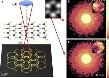 认知科学中的量子网格搜索,完美解释了躺平成为新趋势 认知科学中的量子网格搜索,完美解释了躺平成为新趋势