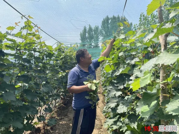 内卷越来越严重现象引发热议，智能农业系统专家给出专业解读