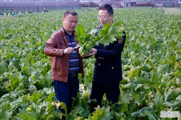 深陷工业防火墙部署的都市人，智能农业系统研究指出了出路