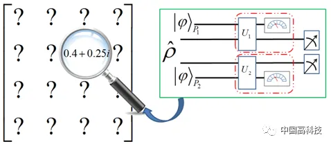 科学家发现丁克家庭增多的真正原因，与量子Adam优化器有关