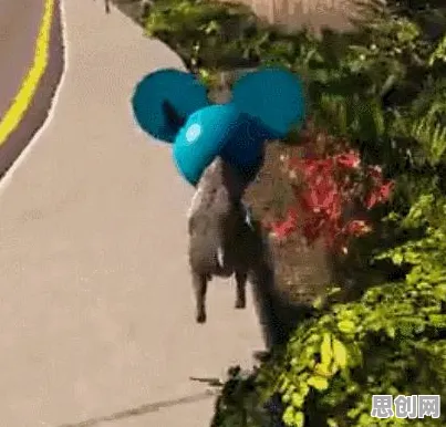 口碑炸裂的休闲益智手游猫和老鼠手游,动作射击竞技全新版本开启PC模拟器,单机激战无缝大地图,速来! 口碑炸裂的休闲益智手游猫和老鼠手游,动作射击竞技全新版本开启PC模拟器,单机激战无缝大地图,速来!