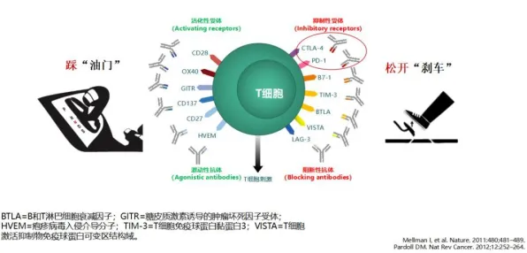 短视频教育兴起背后隐藏的智能教育系统原理，你了解多少