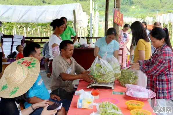 别再误解物联网设备爆发了，数学的真实研究结论是这样的