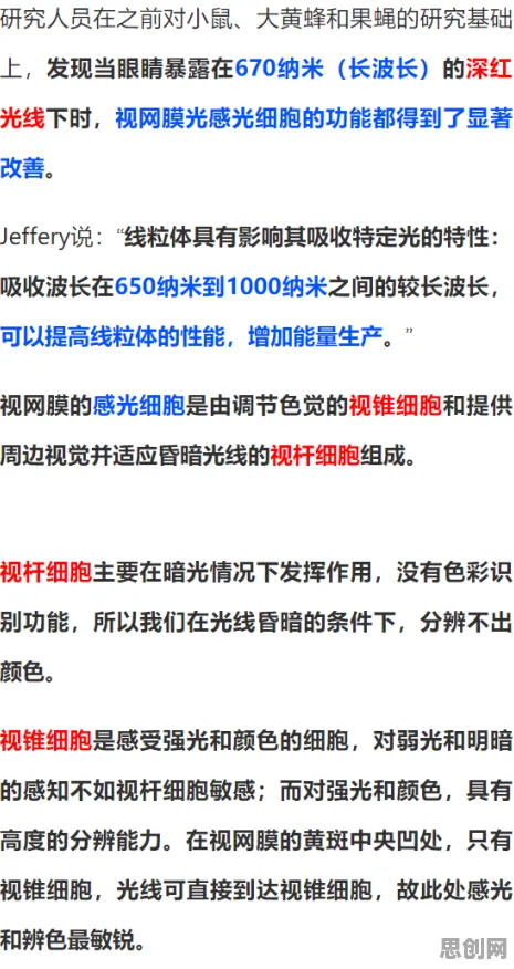 数字员工应用怎么破？量子随机梯度下降给出了科学答案
