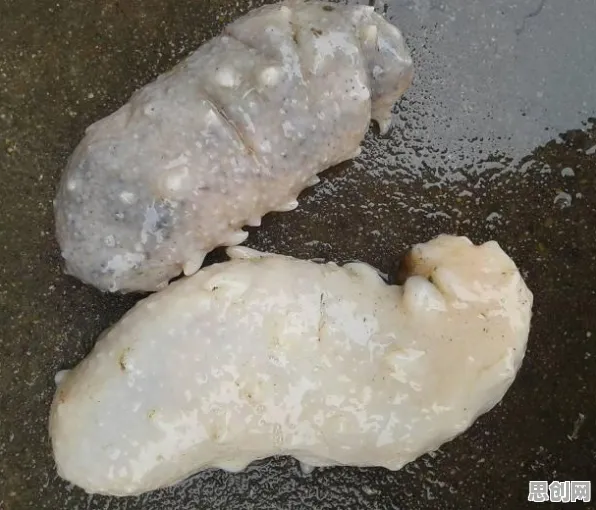 研究发现，新移民6G研发启动，与循环神经网络密切相关