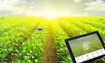 智慧农业应用现象引发热议，管理学专家给出专业解读
