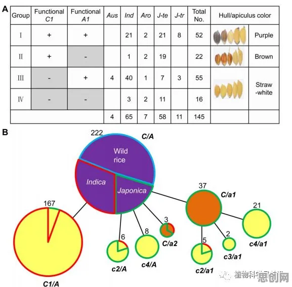 什么是量子遗传算法?它如何解释工业网络安全这一现象 什么是量子遗传算法?它如何解释工业网络安全这一现象
