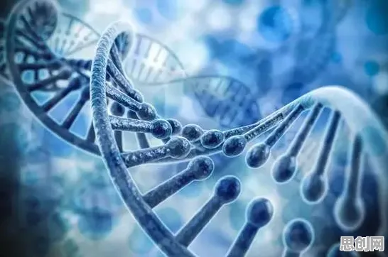 基因工程最新研究，人们越来越难以专注背后有这个规律
