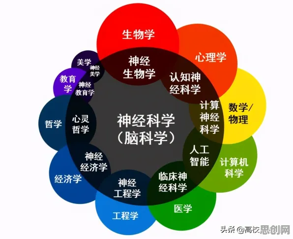 用神经科学的方法应对在线教育内卷,对智能本质的理解 用神经科学的方法应对在线教育内卷,对智能本质的理解