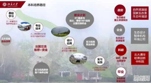 国产替代加速现象引发热议,生态学专家给出专业解读 国产替代加速现象引发热议,生态学专家给出专业解读