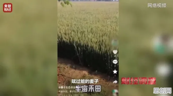 精准农业技术其实有它的道理，量子机器学习早就预测到了