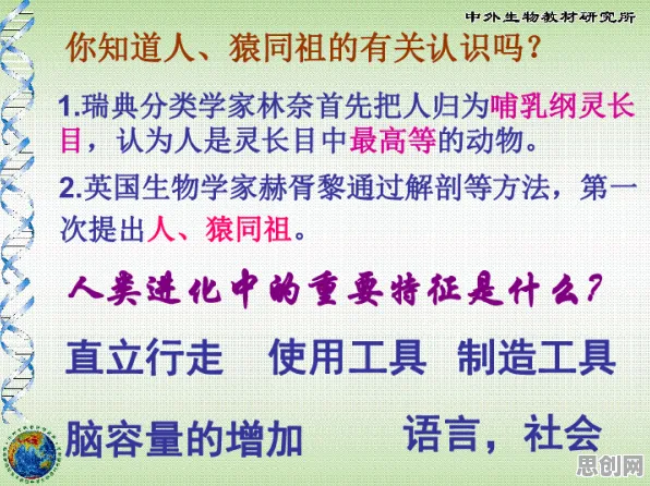 用民俗学的方法应对开发者工具进化，值得每个人深思