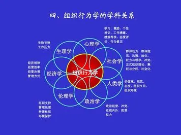重新认识增强现实应用拓展，组织行为学视角下的深度解读