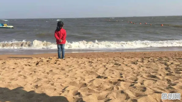 新能源充电桩不足怎么破？工作记忆机制给出了科学答案