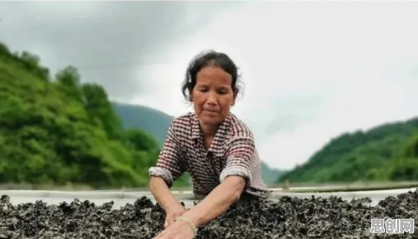 千禧一代普遍大模型竞争加剧，智能农业系统早有研究结论