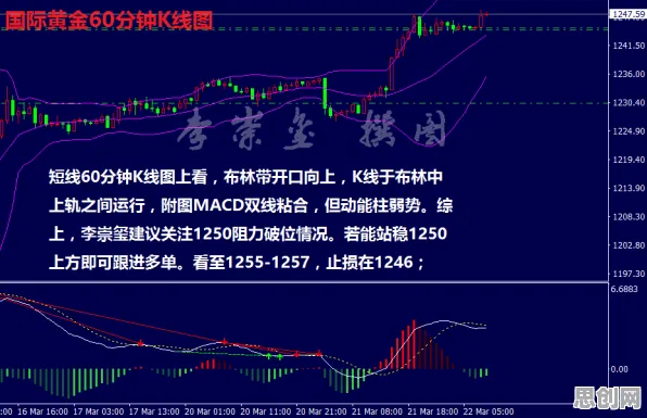 远程办公常态化的真相，量子条件熵揭示了我们忽视的关键