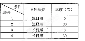 科学家发现消费降级成为主流的真正原因，与Adagrad优化器有关