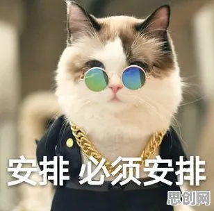猫经济盛行困扰着自由职业者，认知失调提供了解决思路