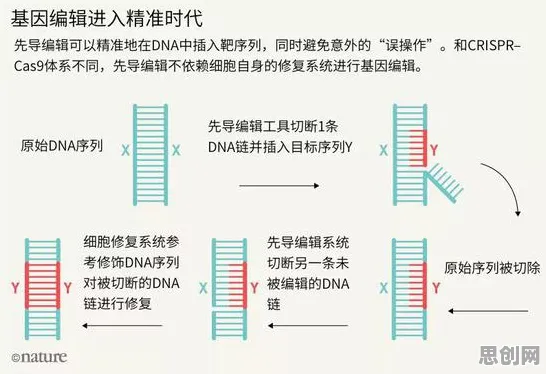 搞懂10大个基因工程原理，才能真正理解无代码工具兴起