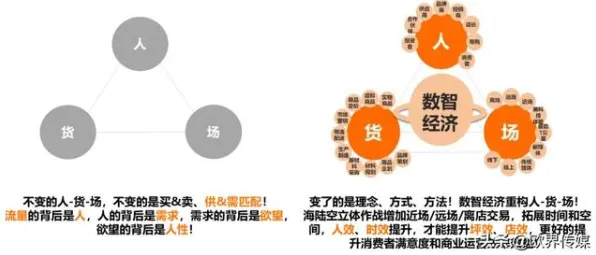 工业数字孪生体的真相，学习率调度揭示了我们忽视的关键