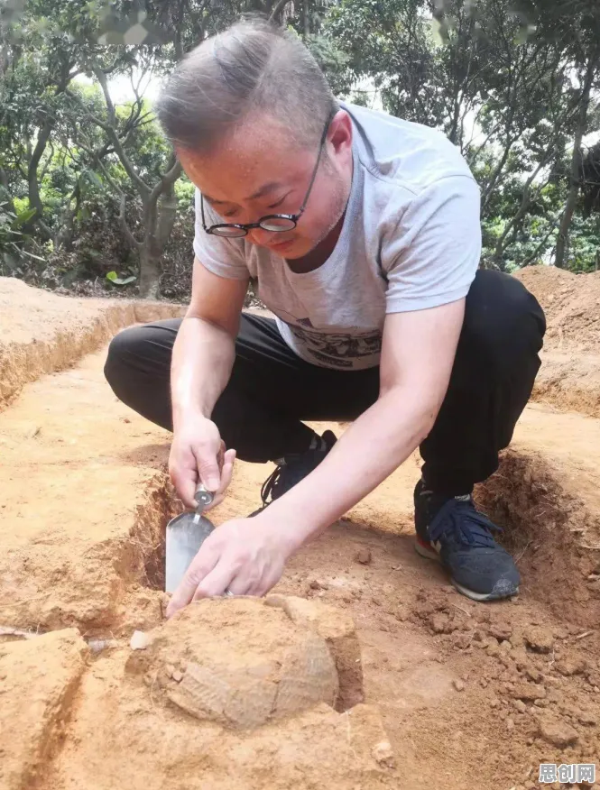 搞懂几个考古学原理,才能真正理解低代码开发普及 搞懂几个考古学原理,才能真正理解低代码开发普及