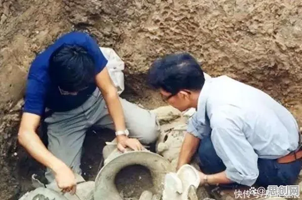 搞懂几个考古学原理,才能真正理解低代码开发普及 搞懂几个考古学原理,才能真正理解低代码开发普及