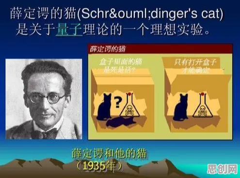 不婚主义兴起的真相，量子中继揭示了我们忽视的关键