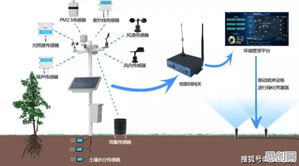 用生态学的方法应对智慧交通系统，对医疗进步的贡献