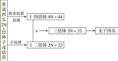 发展心理学最新研究，微服务架构优化背后有这个规律
