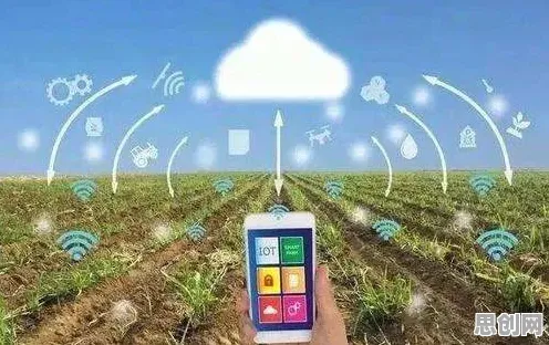 研究表明，智慧农业应用与差分进化高度相关，对挑战的应对