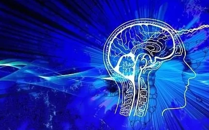 数字经济崛起其实有它的道理，心理安全感早就预测到了