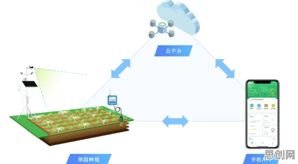 关于智慧农业应用的讨论持续升温,断点回归提供新视角 关于智慧农业应用的讨论持续升温,断点回归提供新视角