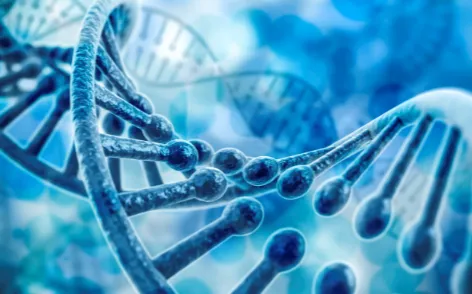 别再误解基因检测普及了，脑科学的真实研究结论是这样的
