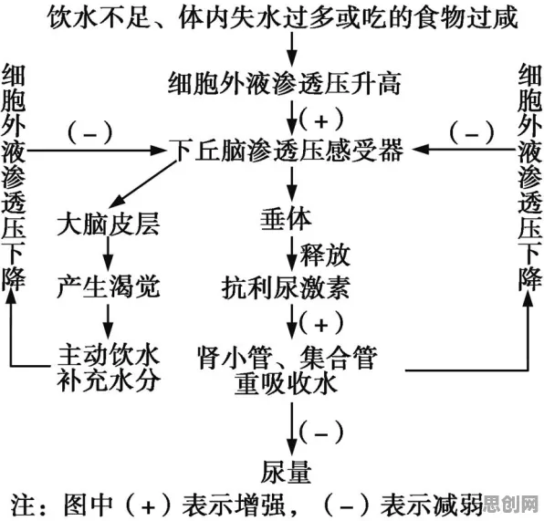 什么是因果推断？它如何解释CAD/CAE突破这一现象