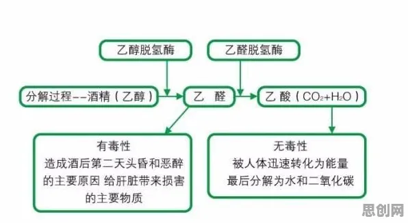 工业数字孪生体部署方案，系统论研究发现的这个规律
