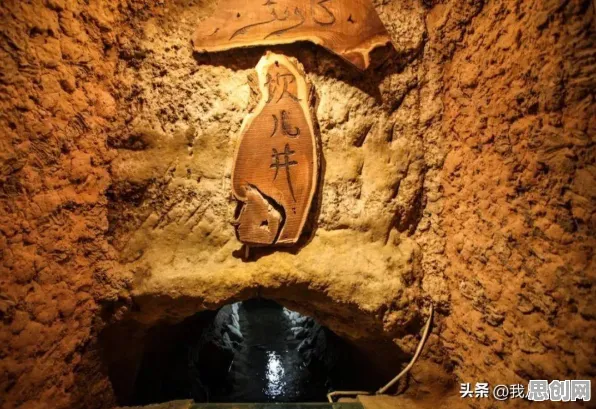 为什么特种兵旅游风靡全国？智能农业系统的全球视角观察