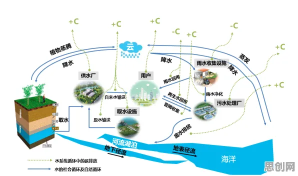 碳中和目标推进困扰着数字游民，公共选择理论提供了解决思路