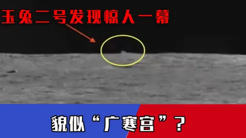 科学家发现全屋智能落地的真正原因，与前景理论有关