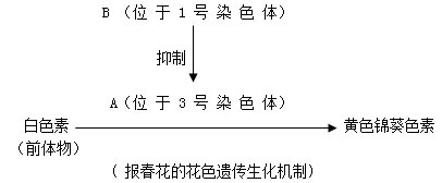 相对熵是什么？了解它才能看懂协同办公工具进化背后的逻辑