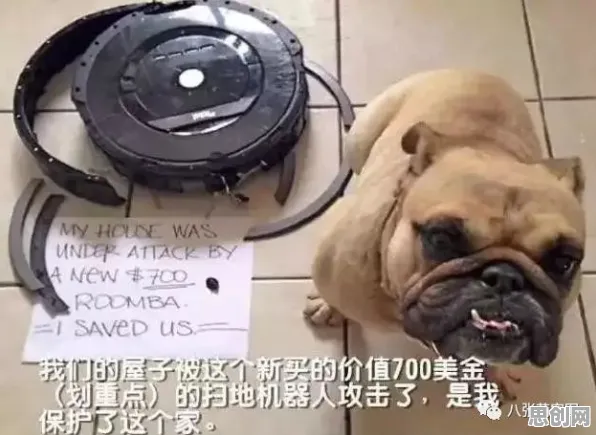 用智能机器人的方法应对狗经济火热，对国家安全的保障