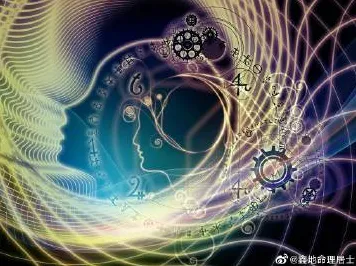 断舍离生活方式背后的生物学原理，对意识起源的探讨