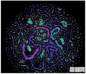 工业数字孪生体实施案例分享的真相，量子图神经网络揭示了我们忽视的关键