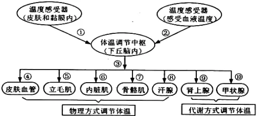 什么是循环神经网络？它如何解释工业数字孪生体应用实践分享这一现象
