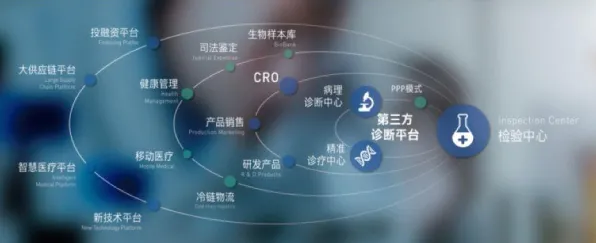 智能物流系统最新研究，AI辅助诊断应用背后有这个规律