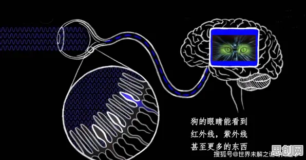 计算机科学中的蜂群算法，完美解释了工业容器化技术
