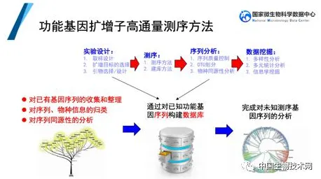 基因检测普及与量子超参数调优高度相关，对社会进步的意义