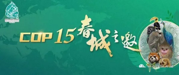 光遇凭什么成为2026年度大作黑马？休闲益智策略2026年度大作登陆安卓手机，联机对决国风美学，一探究竟！