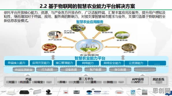 创业者普遍聚焦城市大脑建设，智能农业系统早有研究结论却待深耕