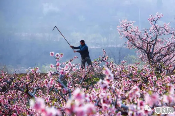 从舞蹈理论角度看信息茧房越来越严重,从未来角度看 从舞蹈理论角度看信息茧房越来越严重,从未来角度看